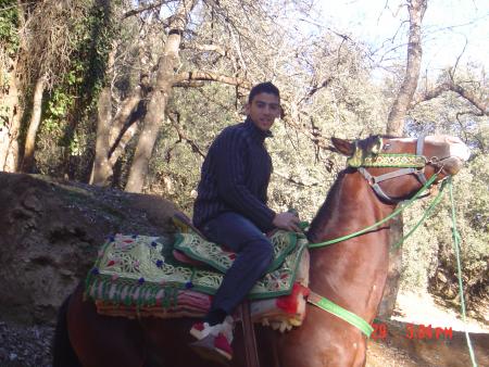 mahla ifran w mahla jamalo