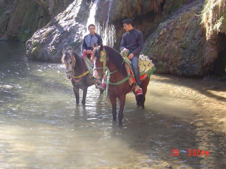 mahla ifran w mahla jamalo