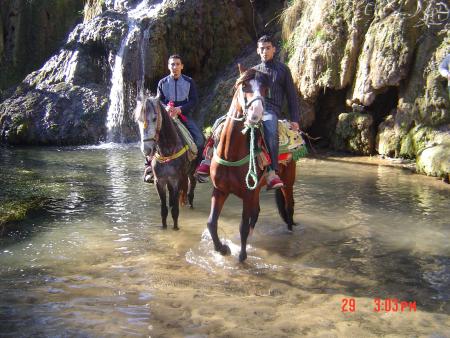 mahla ifran w mahla jamalo